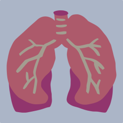 Lung Diseases